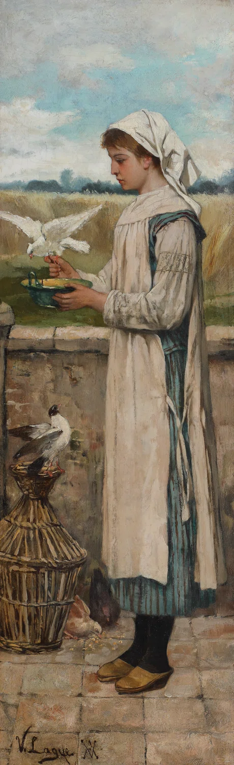 Acqua per i piccioni
